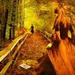 secret_romance_by_sylwiaa